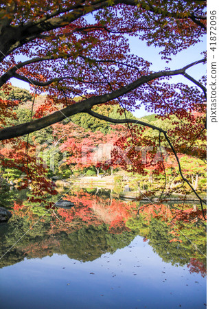 Legend Gojoin · Jodo-type garden, autumn leaves reflected in the pond with the two-storied hill Legend Gojoin · Jodo-type garden, autumn leaves reflected in the pond with the two-storied hill 41872096