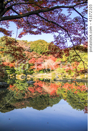 傳說Gojoin·Jodo型花園，秋葉映在池塘與兩層山 41872103