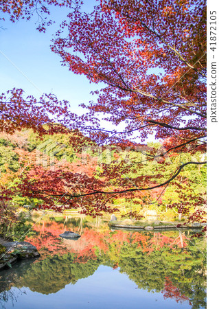 Legend Gojoin · Jodo-type garden, autumn leaves reflected in the pond with the two-storied hill Legend Gojoin · Jodo-type garden, autumn leaves reflected in the pond with the two-storied hill 41872105
