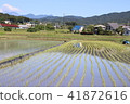 Rice Planting 201805 41872616