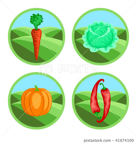 Icons of vegetables in color Icons of vegetables in color 41874100
