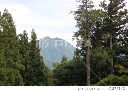 森林和山 森林和山 41874142