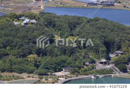 熊本八幡宮（岐阜市豐中町） 41875229