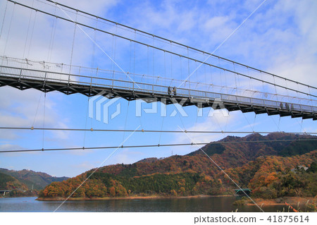 Suspension bridge in autumn Miyagase Suspension bridge in autumn Miyagase 41875614