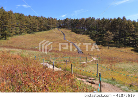 Ogasaw Marsh in autumn 41875619