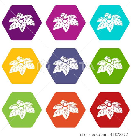 Whortleberries icons set 9 vector Whortleberries icons set 9 vector 41878272
