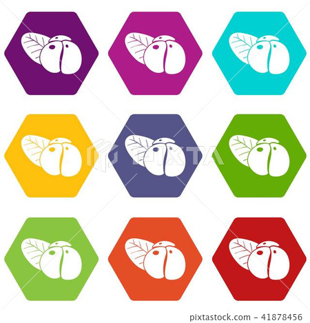 Ephedra icons set 9 vector Ephedra icons set 9 vector 41878456