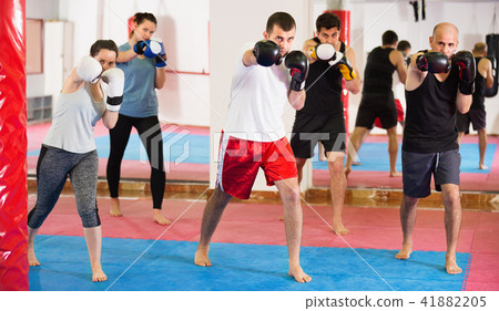 Portrait of females and males training in boxing gloves Portrait of females and males training in boxing gloves 41882205