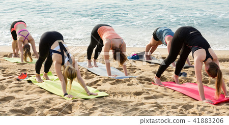Group of young females performing yoga Group of young females performing yoga 41883206