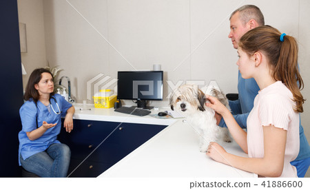 Woman veterinarian with visitors Woman veterinarian with visitors 41886600