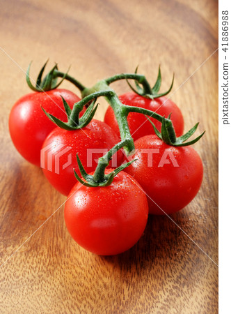 紋身的番茄 41886988