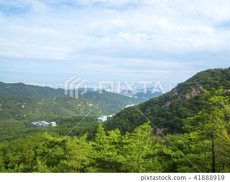 Mt. Mt. 41888919