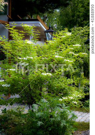 Furano Atelier Open Garden at Mt. Furano Atelier Open Garden at Mt. 41888950