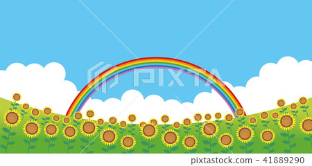 Sunflower summer background 41889290