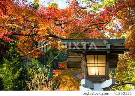 秋葉在鎌倉神社 秋葉在鎌倉神社 41890135