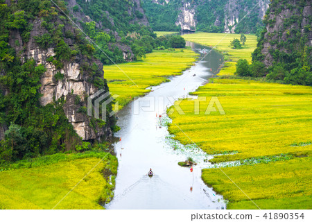 Tam Coc, Ninh Binh in rice harvest season Tam Coc, Ninh Binh in rice harvest season 41890354