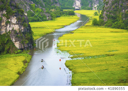 Tam Coc, Ninh Binh in rice harvest season Tam Coc, Ninh Binh in rice harvest season 41890355