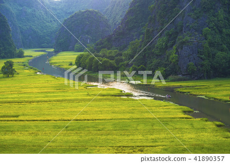 Tam Coc, Ninh Binh in rice harvest season Tam Coc, Ninh Binh in rice harvest season 41890357