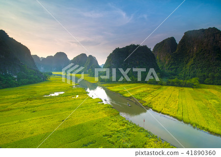 Tam Coc, Ninh Binh in rice harvest season 41890360