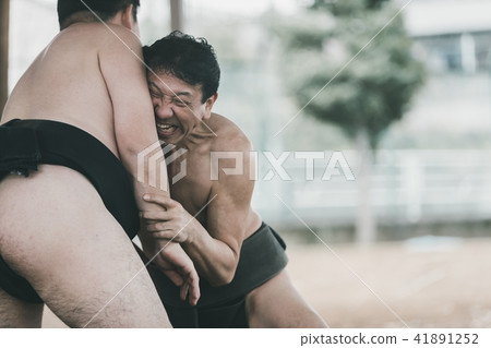 相撲 相撲選手的纏腰帶 研修 41891252