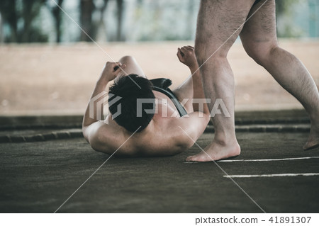 sumo, sumo wrestling, sumo wrestler's loincloth 41891307