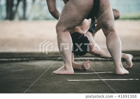 sumo, sumo wrestling, sumo wrestler's loincloth 41891308