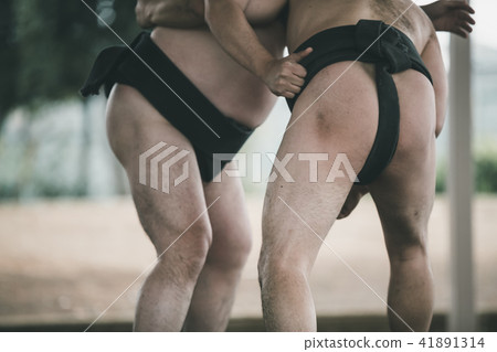 sumo, sumo wrestling, sumo wrestler's loincloth 41891314