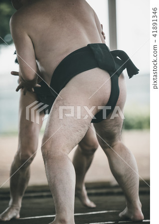 sumo, sumo wrestling, sumo wrestler's loincloth 41891346