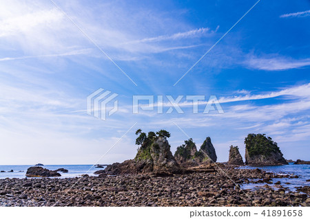 (靜岡縣)Iroidsaki Formation Rock清晨 (靜岡縣)Iroidsaki Formation Rock清晨 41891658