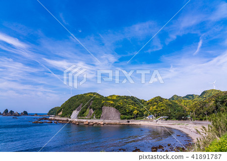 (Shizuoka Prefecture) Coastline in the vicinity of Iroyazaki Bayroite 41891787