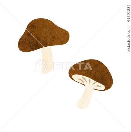 Shitake插圖 Shitake插圖 41891822