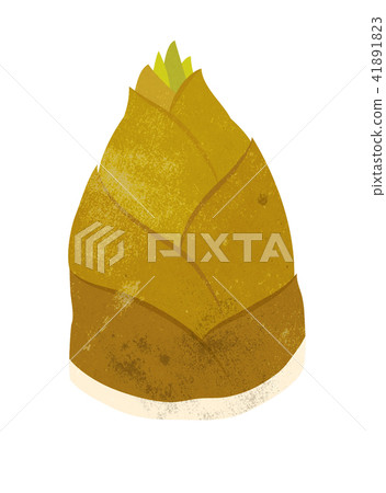 竹筍例證 竹筍例證 41891823