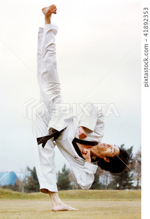 Taekwondo Taekwondo 41892353
