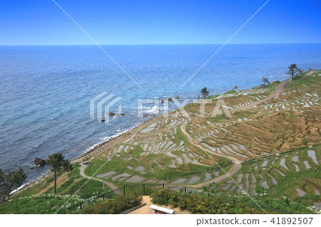 成千上萬的諾托 41892507