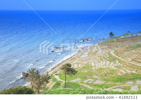 成千上萬的諾托 成千上萬的諾托 41892511