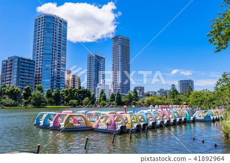 Ueno Inner Park boat field Ueno Inner Park boat field 41892964