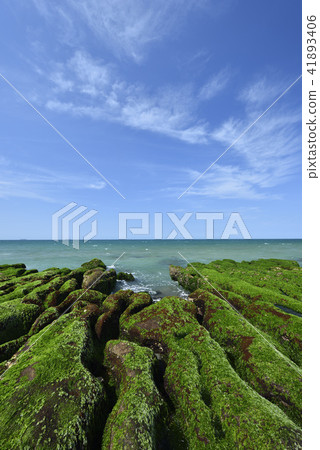 老梅綠石槽-北海岸及觀音山國家風景區 41893406