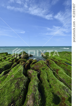 Old Meilu Green Trough - North Coast and Guanyinshan National Scenic Area Old Meilu Green Trough - North Coast and Guanyinshan National Scenic Area 41893407