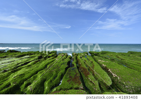 老梅綠石槽-北海岸及觀音山國家風景區 老梅綠石槽-北海岸及觀音山國家風景區 41893408