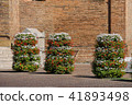Decorative floral columns in Piacenza, Italy 41893498