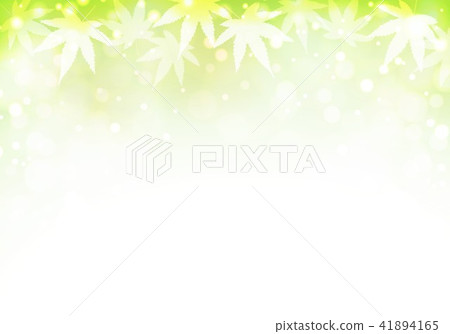 黃綠色背景秋天秋葉 41894165