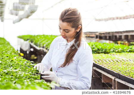Professional research in the greenhouse 41894676