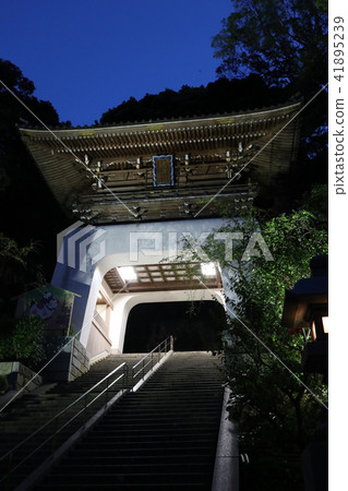Enoshima Shrine Enoshima Shrine 41895239
