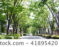 Green leaves 41895420
