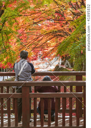 [葉子和夫婦] 41895832