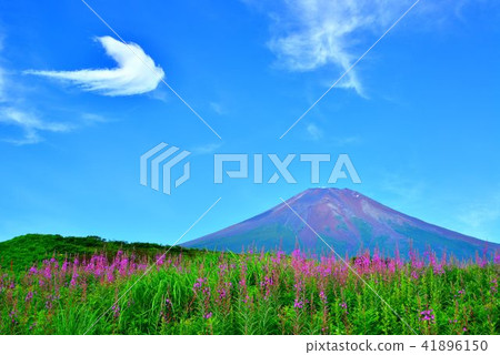 Yanagiran和富士山 Yanagiran和富士山 41896150