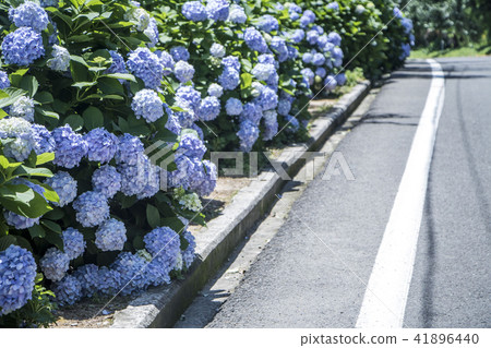 夏日風景 41896440