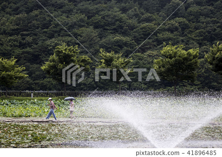 Summer landscape 41896485