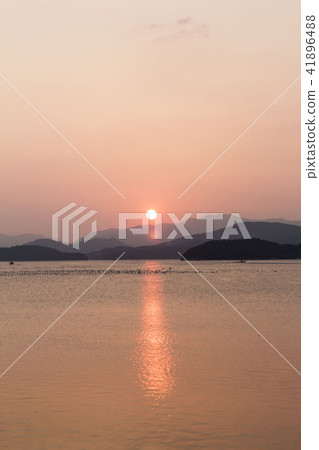 Summer landscape 41896488