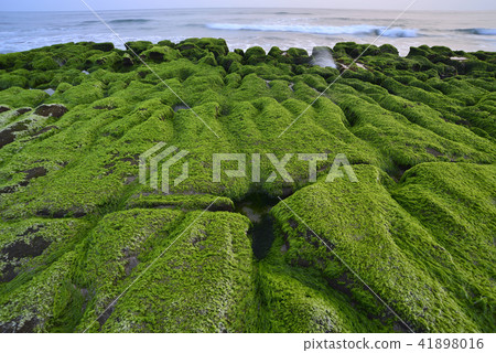 Old Meilu Green Trough - North Coast and Guanyinshan National Scenic Area 41898016